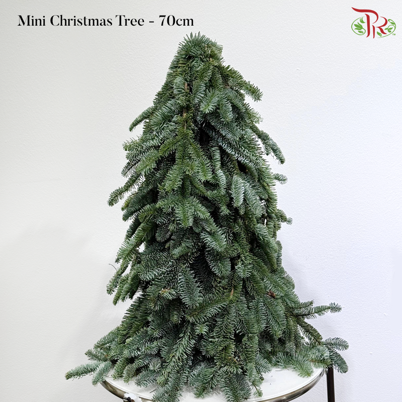 【XMAS 2025】Decorated Mini Christmas Tree (With Size & Design Options)(Pre-Order 2 Days in Advance)