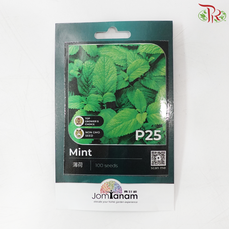 【Jom Tanam Seeds】Herbs Series (Per Pack) (With Options)