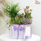 【Mother's Day】Bountiful Beauty Plant Arrangement in Portable Hand Bag Box (Random Choose Design) (With Color Options)
