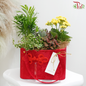 【Mother's Day】Bountiful Beauty Plant Arrangement in Portable Hand Bag Box (Random Choose Design) (With Color Options)