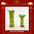 Feng Shui Bamboo