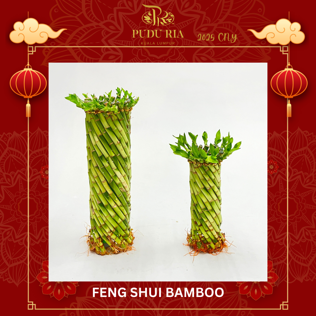 Feng Shui Bamboo