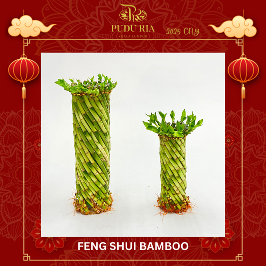 Feng Shui Bamboo (20cm/ 30cm)