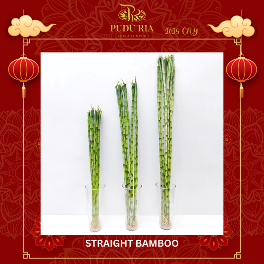 Straight Bamboo 直竹 (10 Stems) (110cm/120cm/130cm/140cm/150cm/160cm/170cm/180cm)