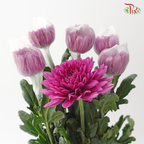 Anastasia / Net Mum Chrysanthemum - Mulberry (5-6 Stems)