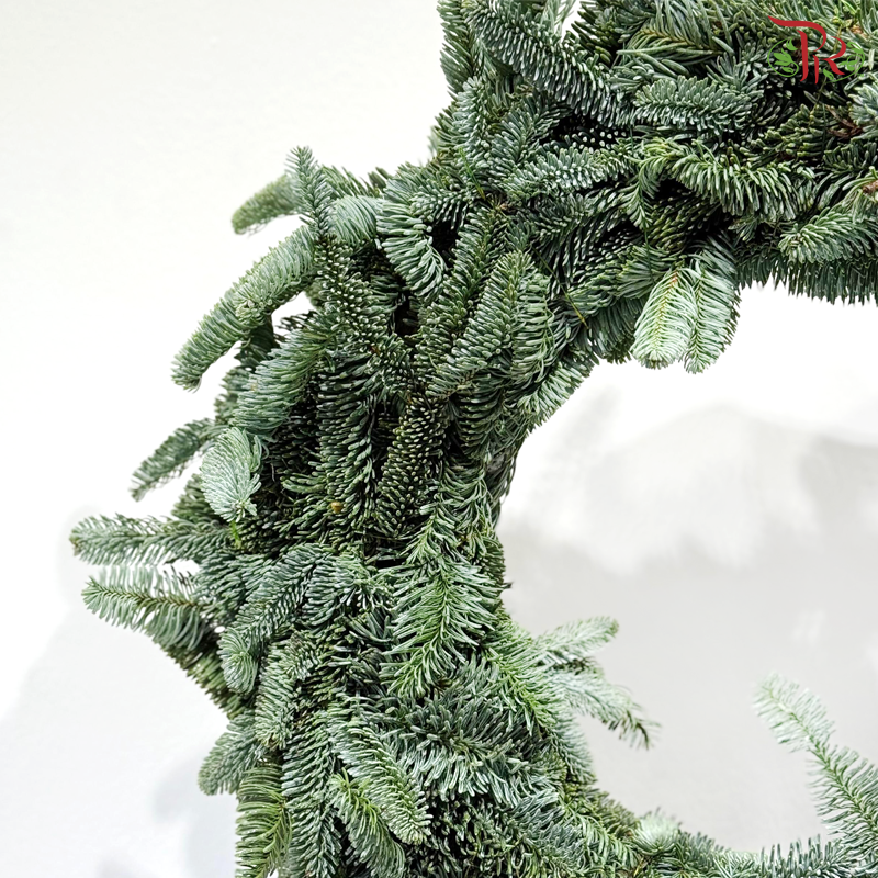 【XMAS 2025】Nobilis Christmas Wreath (With Size & Design Options)