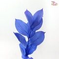 Dry Orange Leaf Dyed - Blue (Per Bunch)