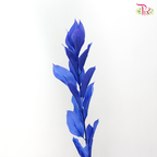 Dry Orange Leaf Dyed - Blue (Per Bunch)