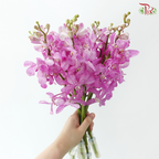 Mokara Orchid - Pink With Dots (10 Stems)