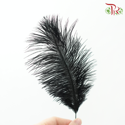 Ostrich Feather Preservative - Black (15cm) (10 Stems)