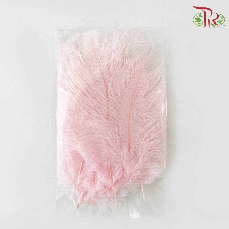 Ostrich Feather Preservative - Pink  (15cm) (10 Stems)