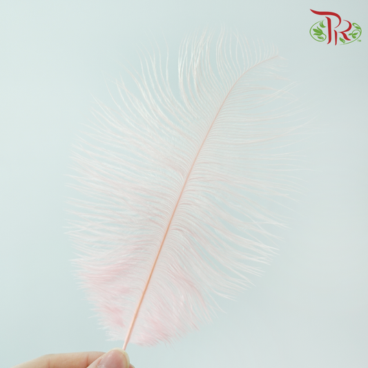 Ostrich Feather Preservative - Pink  (15cm) (10 Stems)