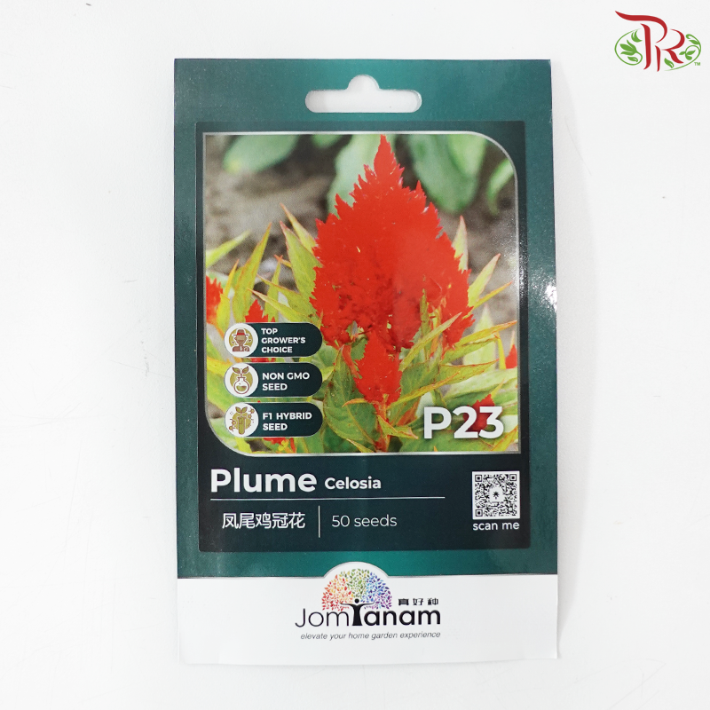 【Jom Tanam Series】Flower Series (Per Pack) (With Option)