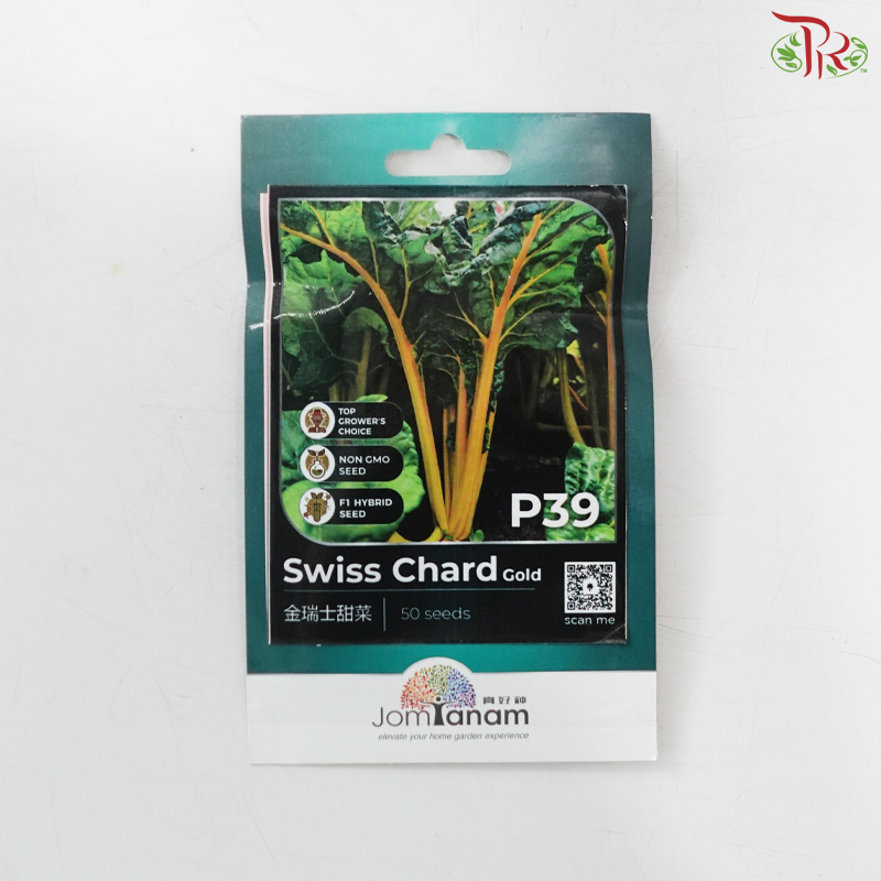 【Jom Tanam Seeds】Vegetable Series (Per Pack) (With Options)