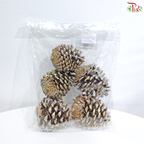 Pine Cone S (6-9cm) - Gold (5 PCS)