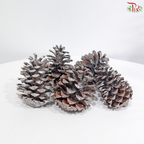 Pine Cone S (6-9cm) - Silver (5 PCS)