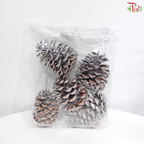 Pine Cone S (6-9cm) - Silver (5 PCS)