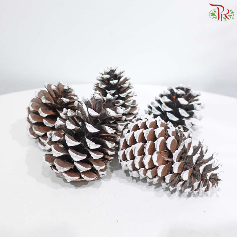Pine Cone S (6-9cm) - White (5 PCS)