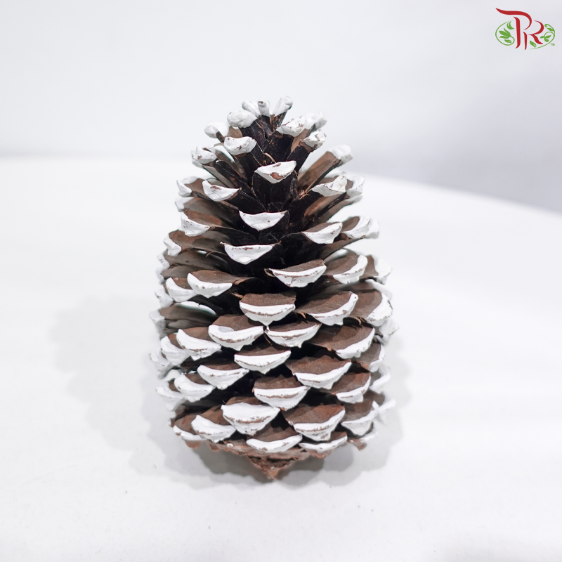 Pine Cone S (6-9cm) - White (5 PCS)