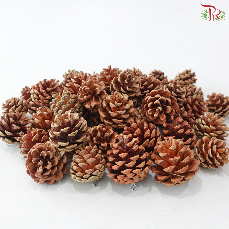 Pinecone With Hooks (Per Pack)