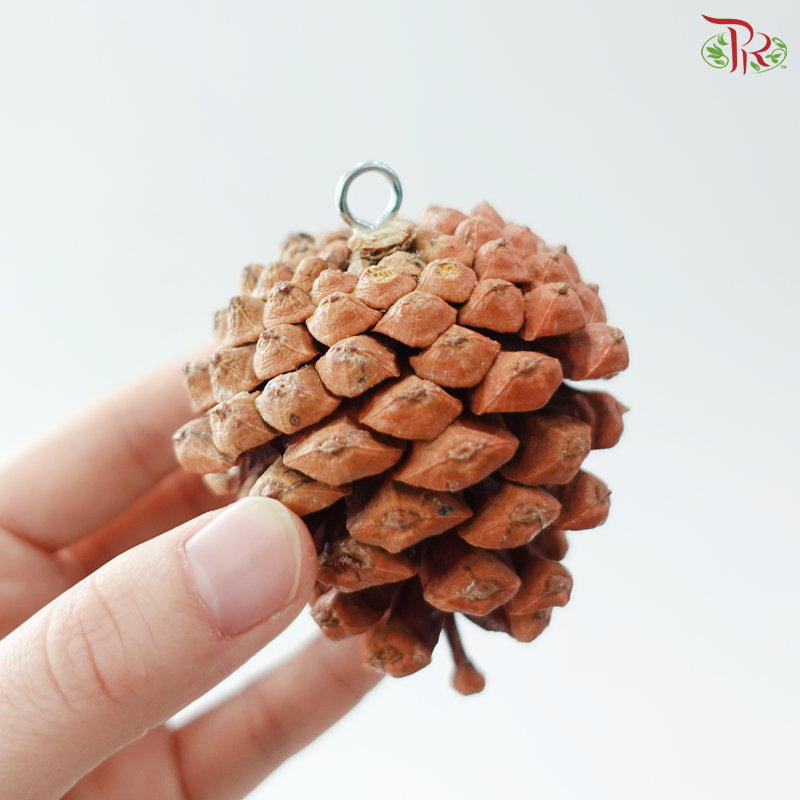 Pinecone With Hooks (Per Pack)