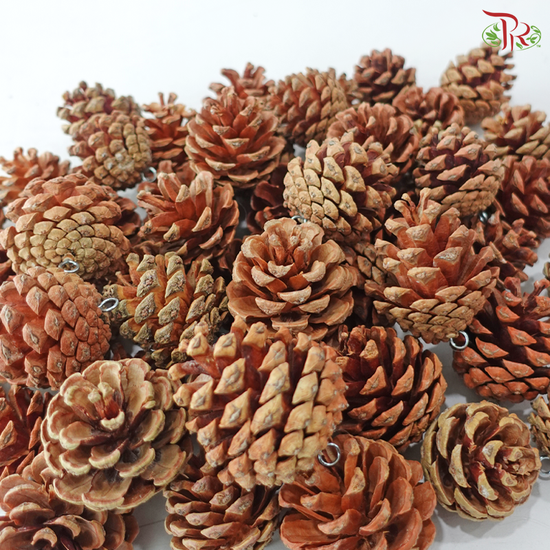 Pinecone With Hooks (Per Pack)