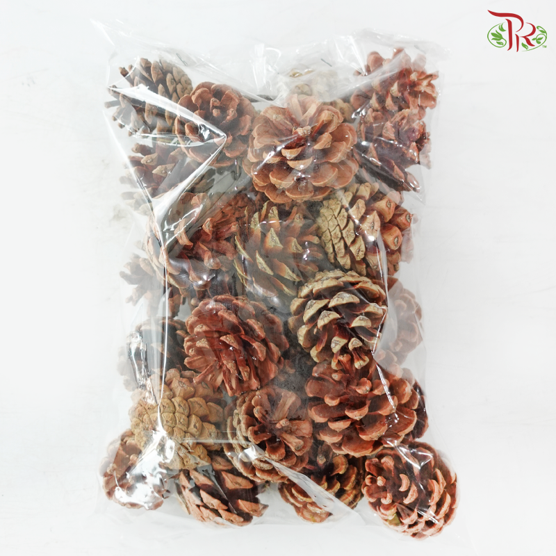 Pine Cones (Per Pack)