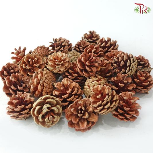 Pine Cones (Per Pack)