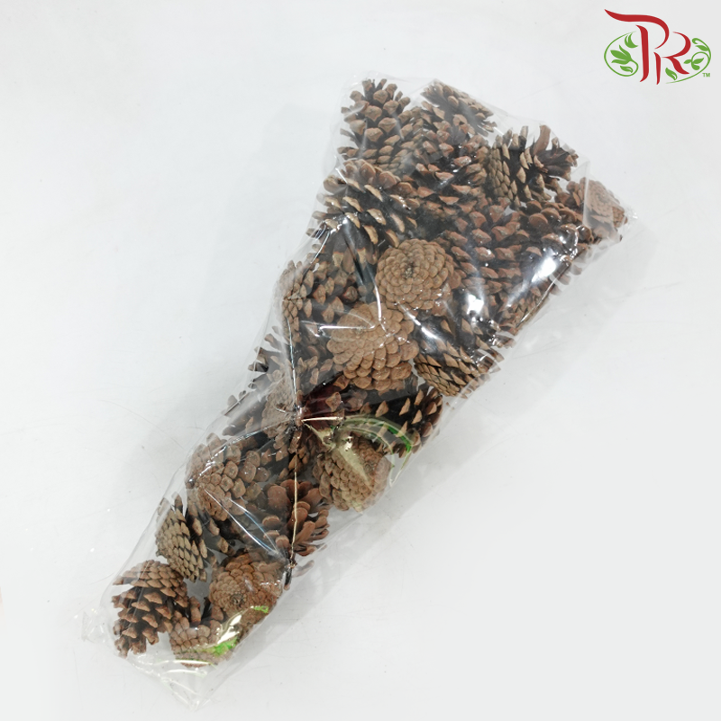 Pine Cone Austria (500 Gram)