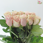 Rose (50cm) - Pink Mondial (10 Stems)