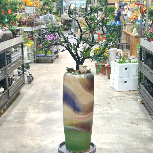 【CNY 2026】Rising Auspice (Pterocarpus Plant)《紫气东来》