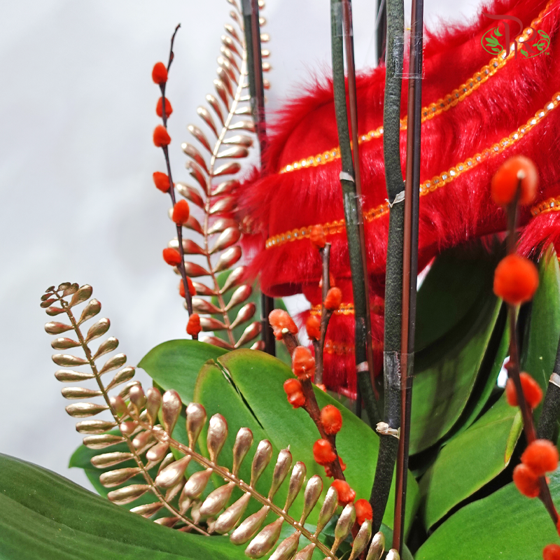 【CNY 2026】Good Fortune Comes With The Lion《狮来运转》