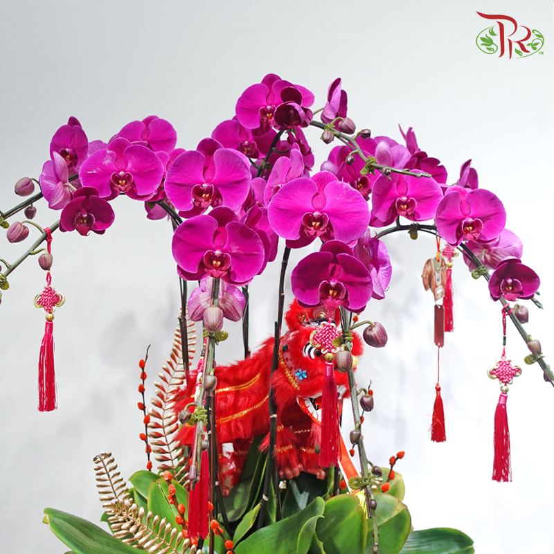 【CNY 2026】Good Fortune Comes With The Lion《狮来运转》