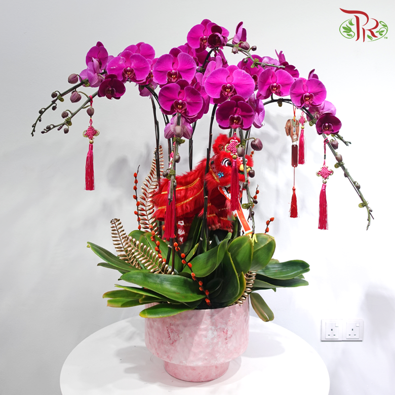 【CNY 2026】Good Fortune Comes With The Lion《狮来运转》