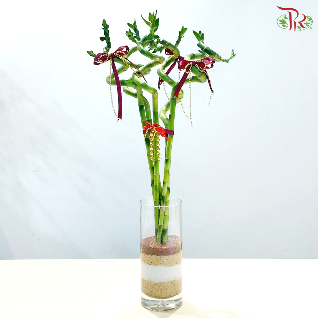 Lucky Bamboo Harmony (Random Choose Deco)