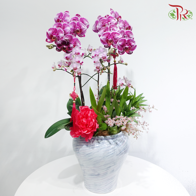 【CNY 2026】Dream Fragrance Brings Prosperity 《梦香蝶来财》