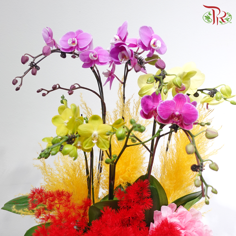 【CNY 2026】Myriad Blessings with Butterflies《万福蝶来》