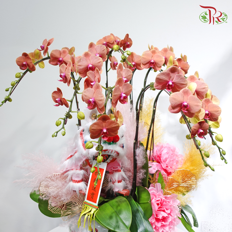 【CNY 2026】The Grace and Scent of Orchids《国色兰香》