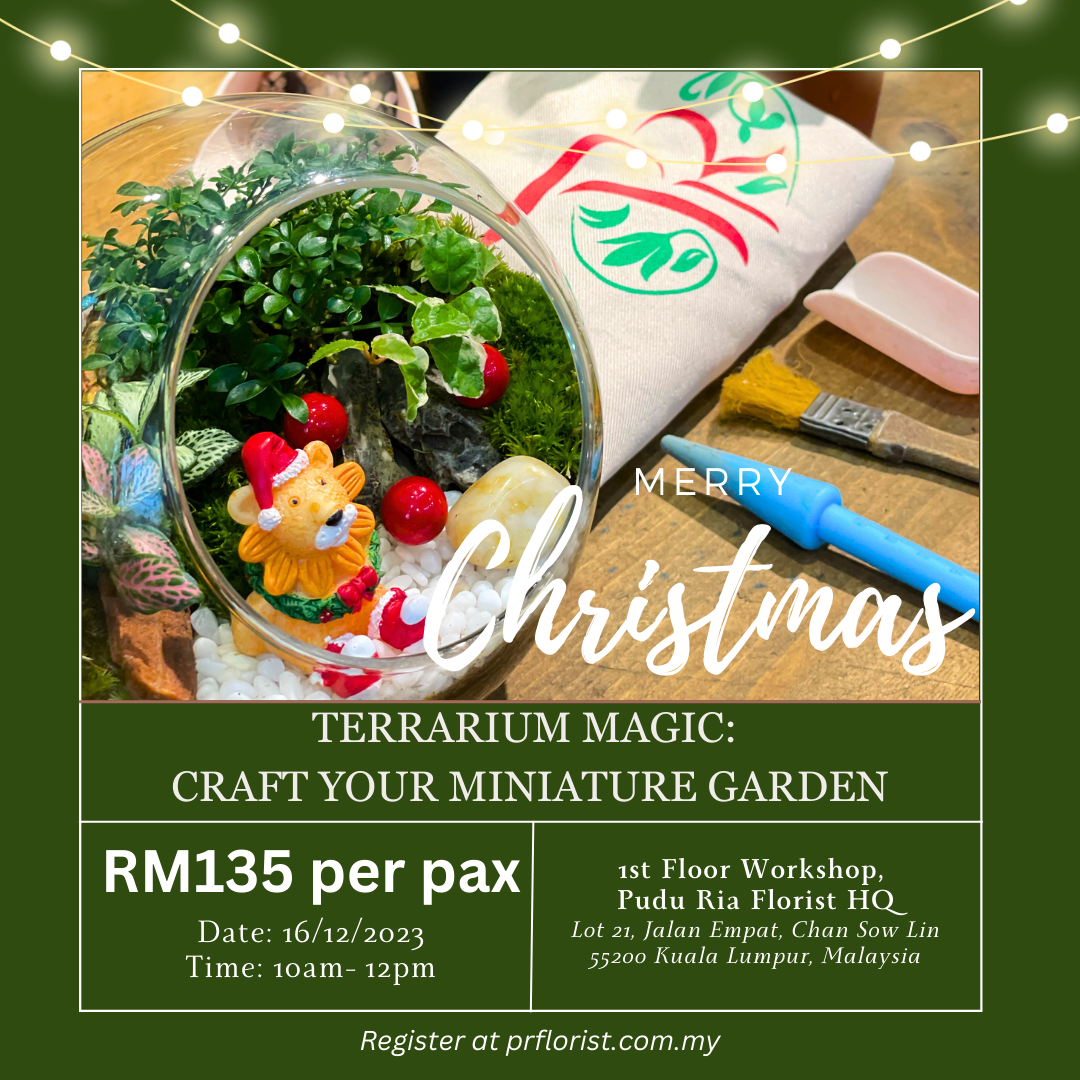 Christmas December Weekend Hobby Workshop- Terrarium Magic: Craft Your Miniature Garden - Pudu Ria Florist
