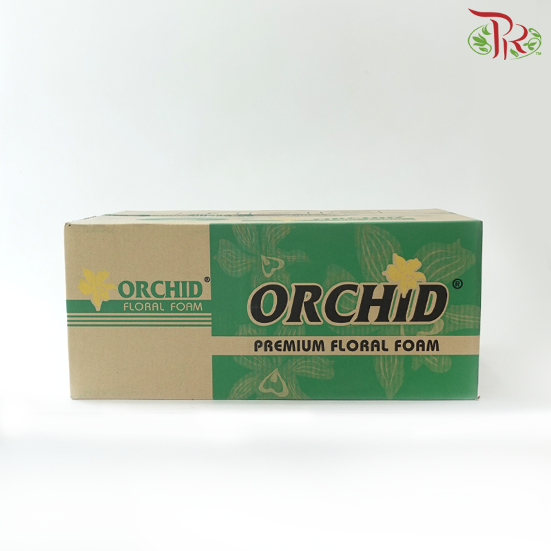 Orchid Premium Floral Foam (20 Pieces)