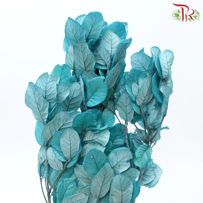 Preserved Chestnuts Leaf - Turquoise (Per Bunch)