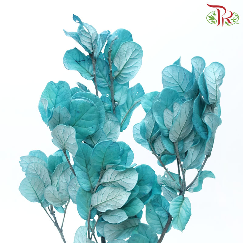 Preserved Chestnuts Leaf - Turquoise (Per Bunch)