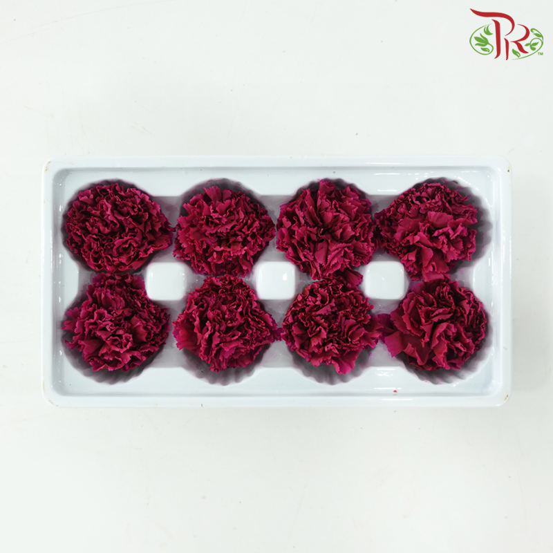 8 Blooms Preserved Carnation - Magenta