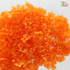 Preserved Hydrangea - Aerospace Orange (Per Stem)