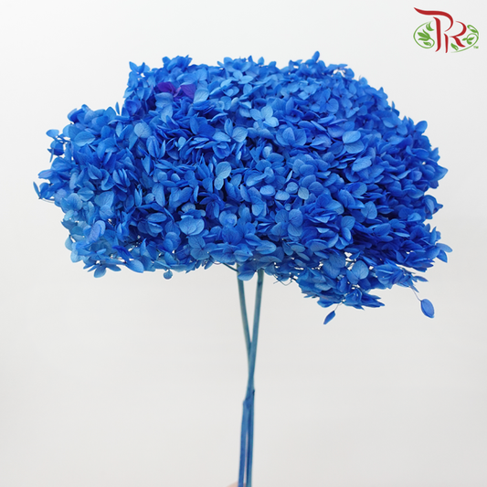 Preserved Hydrangea - Royal Blue (Per Stem)