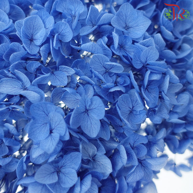 Preserved Hydrangea - Blue 1 (Per Stem)