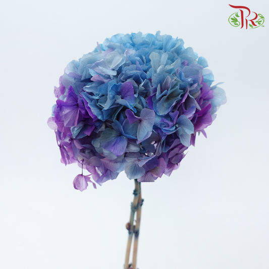 Preserved Hydrangea - Blue Purple (Per Stem)