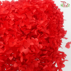 Preserved Hydrangea - Red (Per Stem)