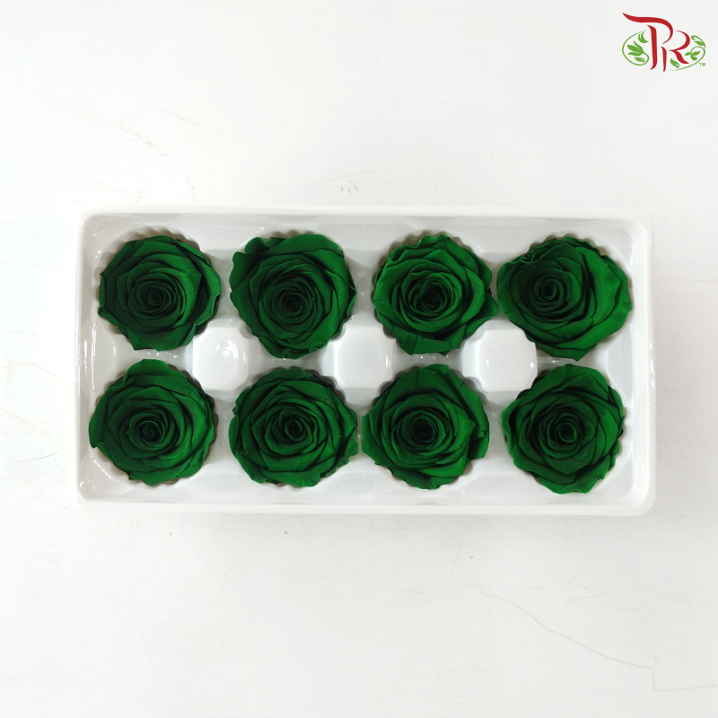 8 Blooms Preserved Roses - Dark Green