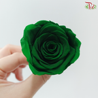 8 Blooms Preserved Roses - Dark Green